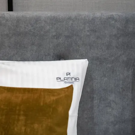 公寓式酒店 Platinia Premium 3*